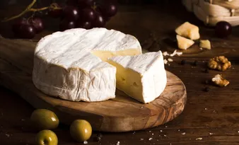 Imagem ilustrativa da imagem Agroindústria artesanal: ES tem 1.700 produtores de queijos