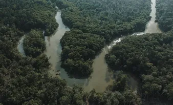 Imagem ilustrativa da imagem Ausência que preenche uma lacuna