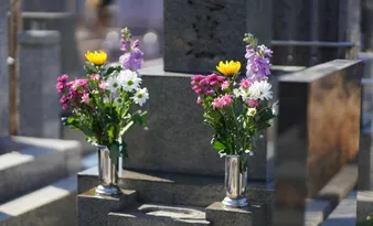 Imagem ilustrativa da imagem Entre o luto e a saudade