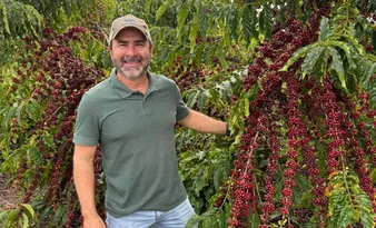 Imagem ilustrativa da imagem Irrigação para cafeeiro ter vigor após colheita