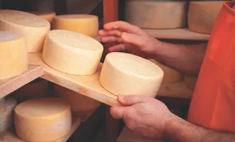 Imagem ilustrativa da imagem Nomes de queijos vão mudar em meio a acordo entre Mercosul e União Europeia