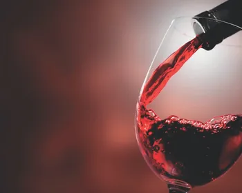 Imagem ilustrativa da imagem Acordo entre Mercosul e União Europeia vai gerar mais negócios no ES