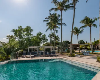 Imagem ilustrativa da imagem Flamboyant entre os melhores