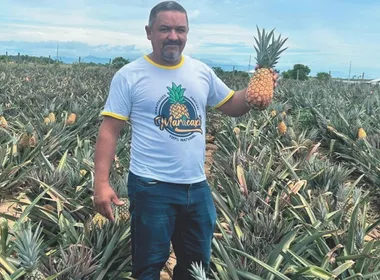 Imagem ilustrativa da imagem Marataízes: inovação na terra do abacaxi “doce como mel”