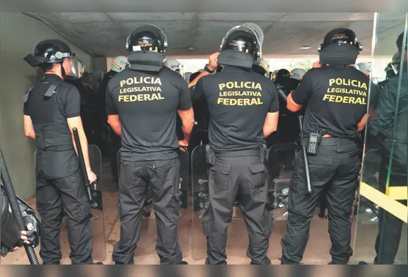 Policiais Legislativos Federais: chances no concurso da Câmara dos Deputados são para atuar no cargo