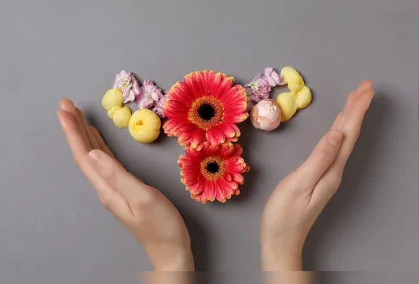 Imagem ilustrativa da imagem A menopausa não tira potência de ninguém