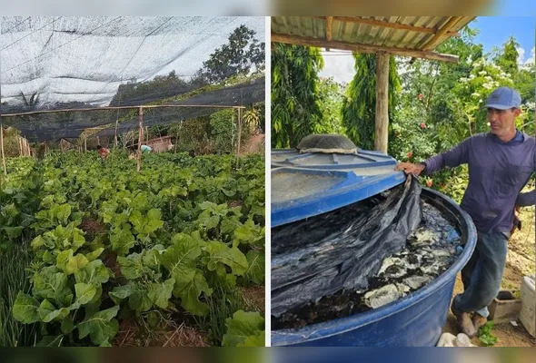 Agroecologia transforma agricultura familiar e beneficia 85 famílias no Norte do ES
