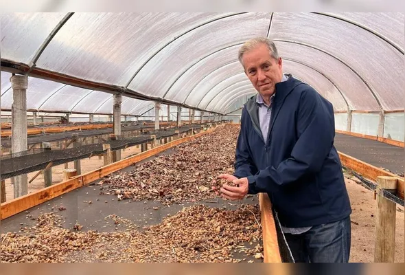 Henrique Sloper na Fazenda Camocim, em Pedra Azul, que produz cerca de 270 toneladas de café por ano