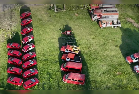 Ao todo 38 veículos serão leiloados