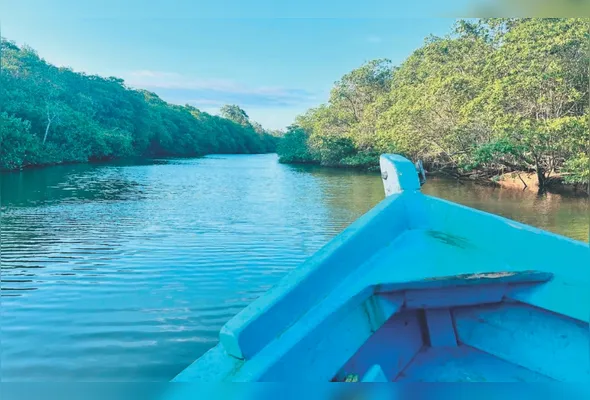 Em Anchieta, no Litoral Sul do Espírito Santo, passeios de barco pelos rios Benevente e Salinas e lazer em 23 praias, como a Praia do Sapê, estão entre os atrativos que proporcionam aos turistas  diversão, relaxamento e conexão com a natureza