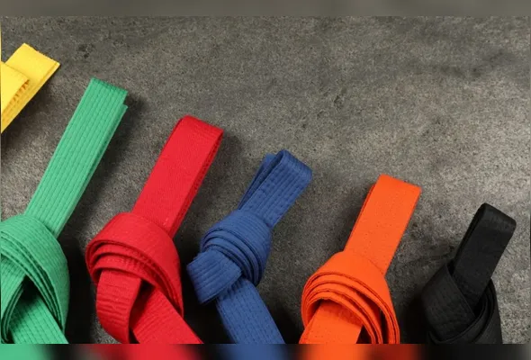 Imagem ilustrativa da imagem Exame estadual de faixa acontece neste domingo em Vitória