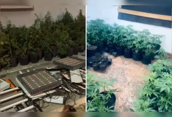 O suspeito foi autuado em flagrante por tráfico de drogas