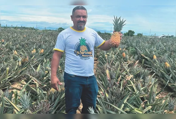 Edson Marvila na plantação