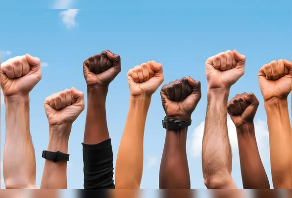 Imagem ilustrativa da imagem No sal