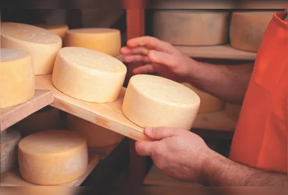 Peças de Queijo: medida tem como objetivo proteger os produtos com Indicação Geográfica
