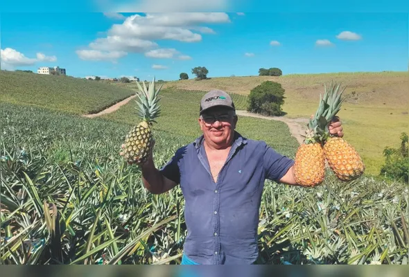 Gilberto Miranda conta que o sistema acelera o desenvolvimento das plantas