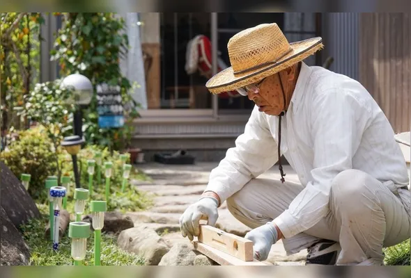 Imagem ilustrativa da imagem Número de idosos que trabalham chega a 181 mil no Estado, diz IBGE