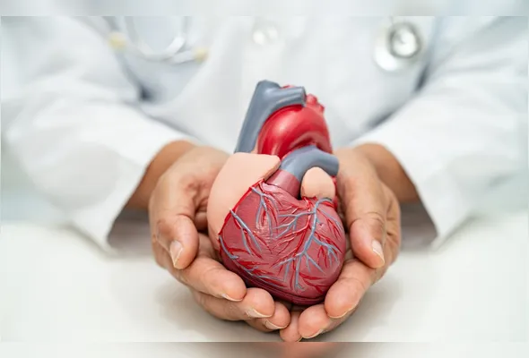 Imagem ilustrativa da imagem O poder medicinal da empatia