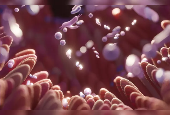 Imagem ilustrativa da imagem Prebióticos, probióticos e simbióticos