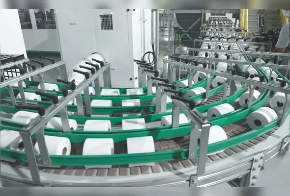Rolos de papel higiênico já prontos para  serem embalados: da plantação de árvores ao papel pronto para uso