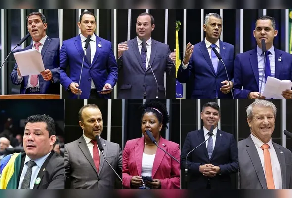 Sete dos deputados votou pela aprovação do projeto