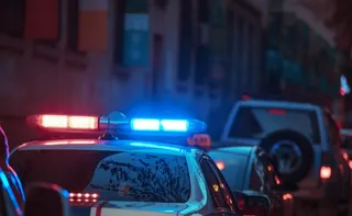 Imagem ilustrativa da imagem A polícia dos capitães