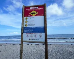 Imagem ilustrativa da imagem Adolescente de 13 anos morre após ser mordido por tubarão em praia de Pernambuco