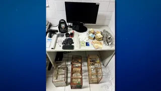 Imagem ilustrativa da imagem Advogada e outros dois suspeitos são detidos em ação contra tráfico na Serra