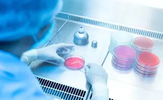 Imagem ilustrativa da imagem Bactéria resistente se espalha fora de hospitais e desafia protocolos médicos