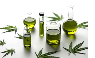 Imagem ilustrativa da imagem Canabidiol mostra potencial para reverter danos do Alzheimer em estudo experimental