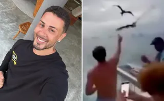 Imagem ilustrativa da imagem Carlinhos Maia é multado em R$ 1 milhão por filmar amigos alimentando gaivota