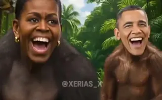 Imagem ilustrativa da imagem Casa Branca apaga post contra casal Obama e diz que vídeo foi erro de funcionário