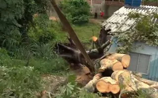 Imagem ilustrativa da imagem Chuvas deixam oito famílias desalojadas e causam 52 ocorrências em Paulista