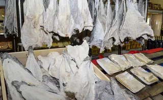 Imagem ilustrativa da imagem Consumidor deve ficar atento à qualidade do bacalhau na Semana Santa