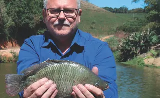 Imagem ilustrativa da imagem Cooperativa investe R$ 12 milhões para ampliar produção de tilápia