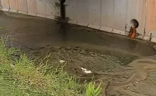 Imagem ilustrativa da imagem Corpo esquartejado de mulher é encontrado em mala na zona sul de São Paulo