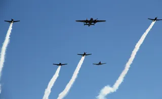 Imagem ilustrativa da imagem Crônica de uma guerra estúpida