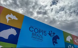 Imagem ilustrativa da imagem Cúpula de líderes orienta debates para COP15 em Mato Grosso do Sul