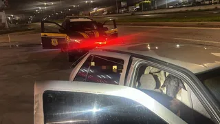 Imagem ilustrativa da imagem Dezoito bodes são empilhados em carro na BR-104; sete morrem sufocados