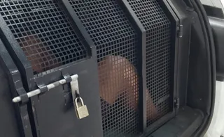 Imagem ilustrativa da imagem Dois suspeitos com mandado por homicídio são presos em Vitória