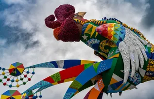 Imagem ilustrativa da imagem Dos pés à cabeça: Galo Gigante sobe a ponte hoje com mensagem de paz de Dom Helder
