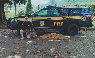 Imagem ilustrativa da imagem ES registra apreensão de quase 10 toneladas de drogas em um ano