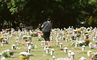 Imagem ilustrativa da imagem Entenda a lei que autoriza enterro de pets em túmulos de famílias na Serra