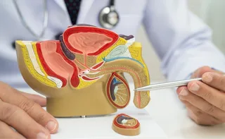 Imagem ilustrativa da imagem 'Epidemia de micropênis' não existe; boato expõe crianças a riscos com hormônios