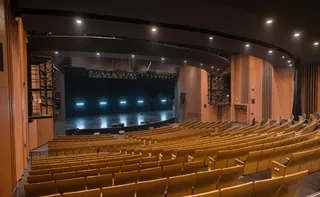 Imagem ilustrativa da imagem Espetáculo “A Floresta dos Dunduns” abre vagas para atores e atrizes