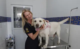 Imagem ilustrativa da imagem Faculdades abrem vagas para atendimento a pets