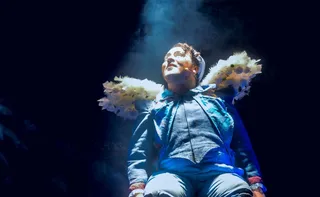 Imagem ilustrativa da imagem Festival Vitória das Artes estreia na Ilha das Caieiras com teatro e circo