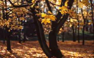 Imagem ilustrativa da imagem Fim do verão: Como vai ser o clima durante o outono no ES?