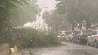Imagem ilustrativa da imagem Gelo no Sertão: entenda o que causou a chuva de granizo em Serra Talhada