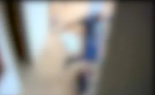 Imagem ilustrativa da imagem Homem que matou pitbull com cabo de enxada em Vila Velha é indiciado